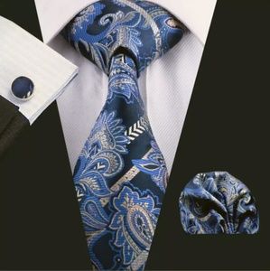Men Neckties Sets
